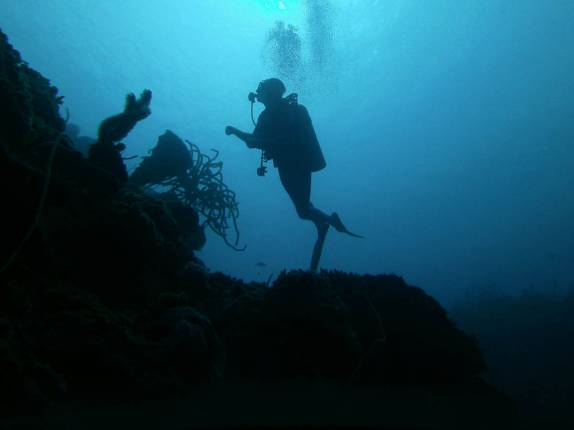 Mergulho na Punta Frances, na Isla de la Juventud, em Cuba